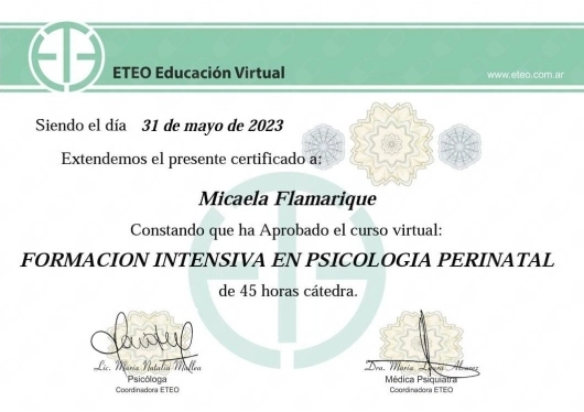 certificado profesional de Micaela Flamarique